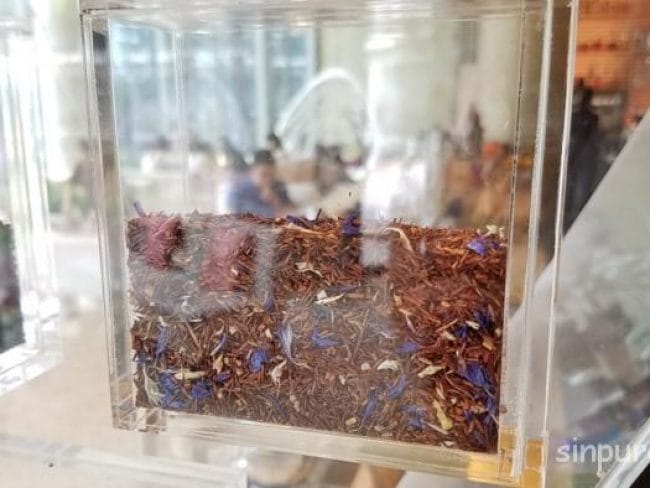 シンガポール　セントーサ島　Wシンガポール　アフタヌーンティー　ブログ