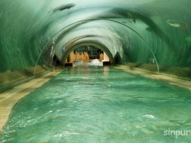 アドベンチャーコーヴウォーターパーク　料金　行き方　割引　子連れ　ブログ