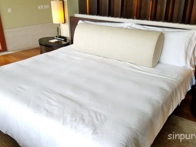 セントーサ島 カペラシンガポール ブログ 子連れ