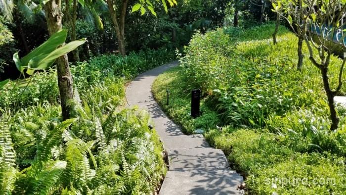 セントーサ島　カペラシンガポール 宿泊記ブログ　朝食　レストラン プール