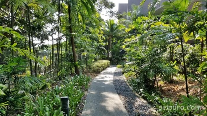 セントーサ島　カペラシンガポール 宿泊記ブログ　朝食　レストラン プール