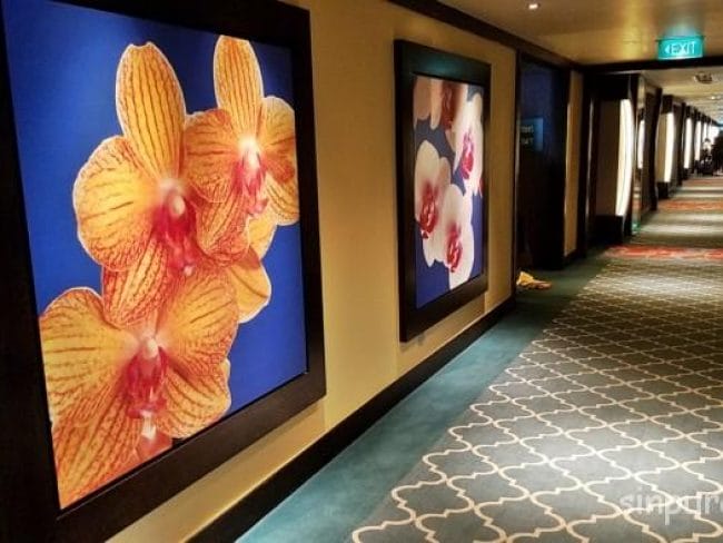 セントーサ島　フェスティブホテル　部屋　コンセント　WIFI　ブログ