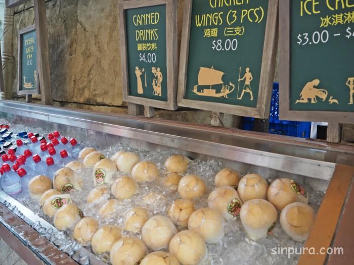 ユニバーサルスタジオシンガポール　エクスプレスパス　ファストパス　チケット　安い　割引