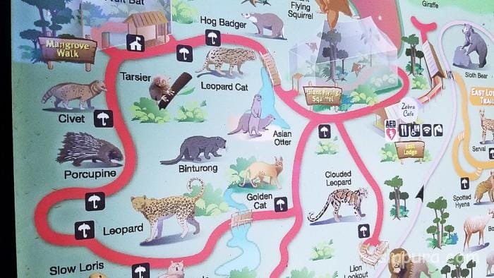 シンガポール　ナイトサファリ　トレイル　料金　値段　割引