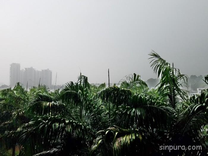 Wシンガポール 宿泊記 子連れ 朝食 プラチナ