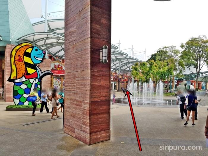 アドベンチャーコーヴウォーターパーク 行き方 アクセス