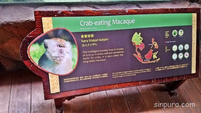 シンガポール　リバーサファリ　行き方　料金　チケット　割引　雨　パンダ　子連れ