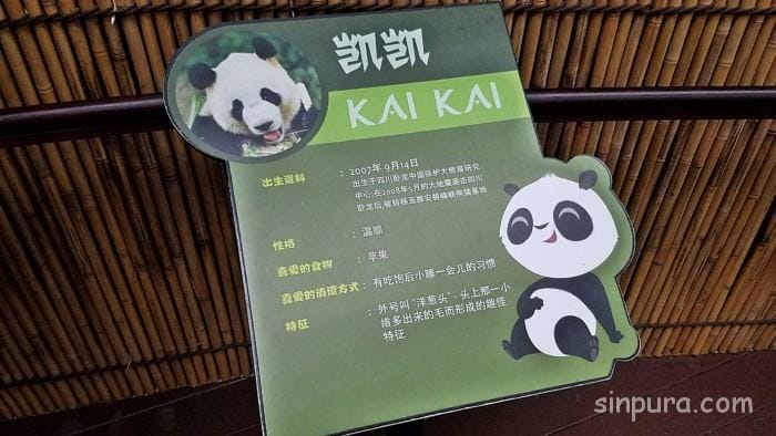 シンガポール　リバーサファリ　行き方　料金　チケット　割引　雨　パンダ　子連れ