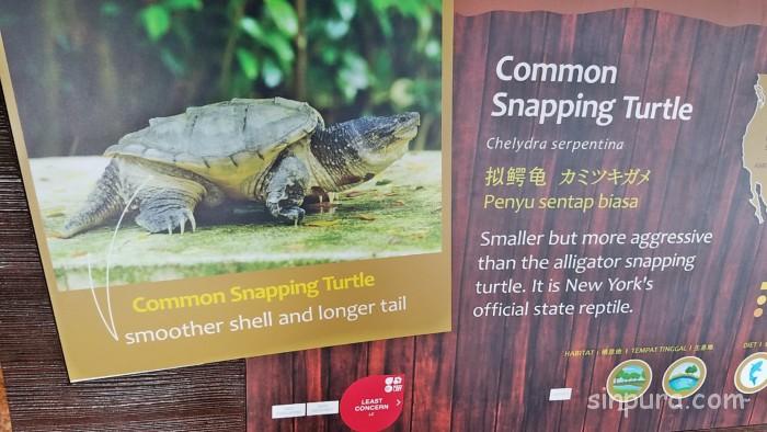 シンガポール　リバーサファリ　行き方　料金　チケット　割引　雨　パンダ　子連れ