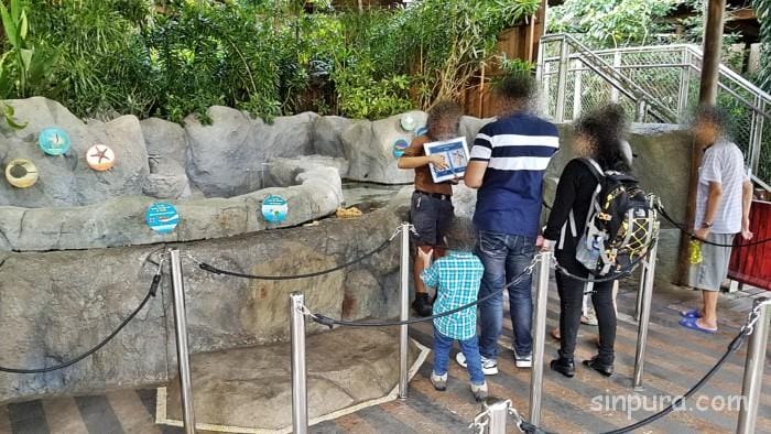 シンガポール　リバーサファリ　行き方　料金　チケット　割引　雨　パンダ　子連れ