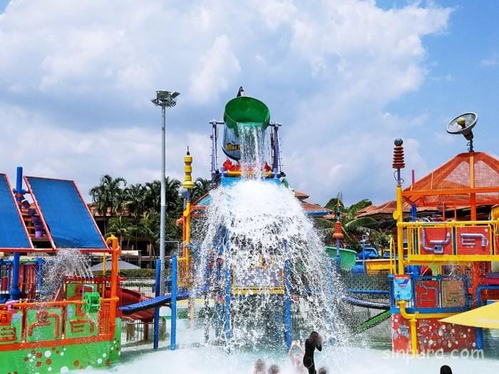 ワイルドワイルドウェット　ブログ