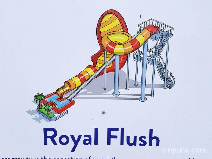 ワイルドワイルドウェット　ブログ