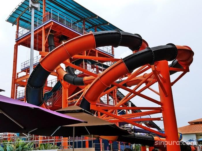 ワイルドワイルドウェット　ブログ