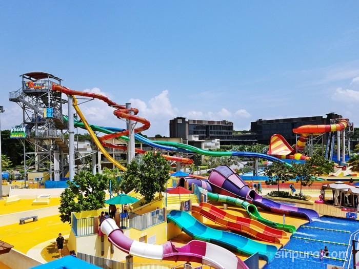 ワイルドワイルドウェット　ブログ