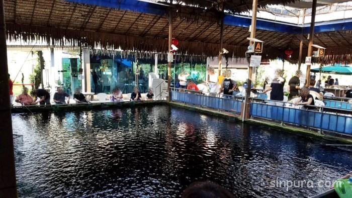 シンガポール　観光　穴場スポット　場所