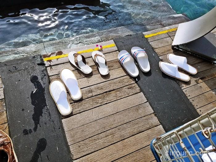 マリーナベイサンズ　プール　入り方　子供