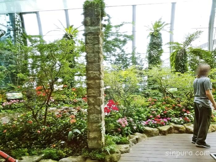 シンガポール　チャンギ空港　休憩　仮眠　レストラン