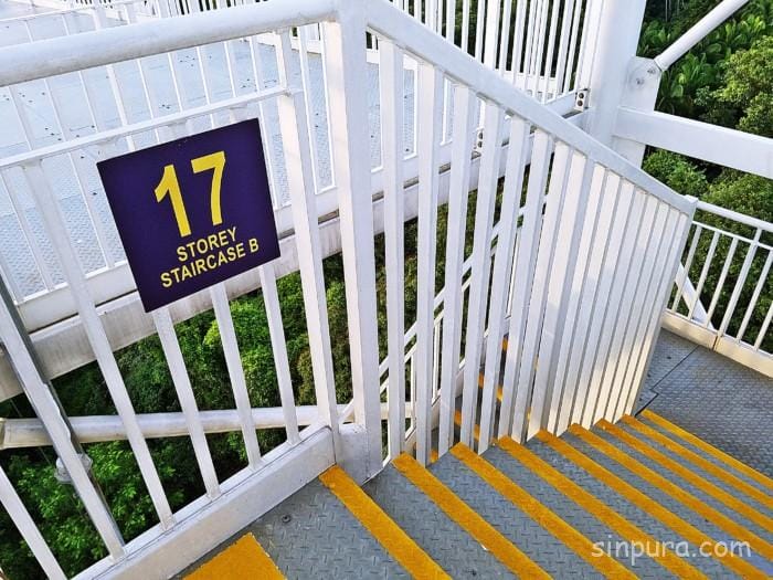 セントーサ島 バンジー 料金 AJハケット ジャイアントスイング アクティビティ