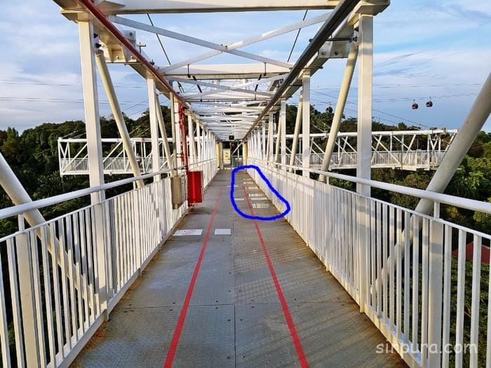 セントーサ島 バンジー 料金 AJハケット ジャイアントスイング アクティビティ