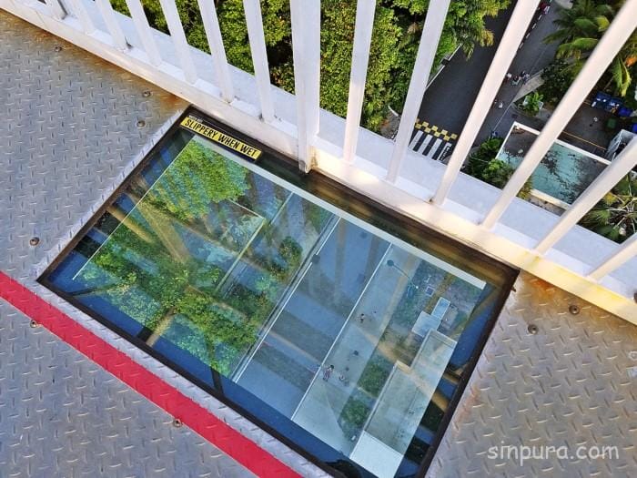 セントーサ島 バンジー 料金 AJハケット ジャイアントスイング アクティビティ