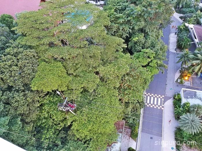 セントーサ島 バンジー 料金 AJハケット ジャイアントスイングアクティビティ