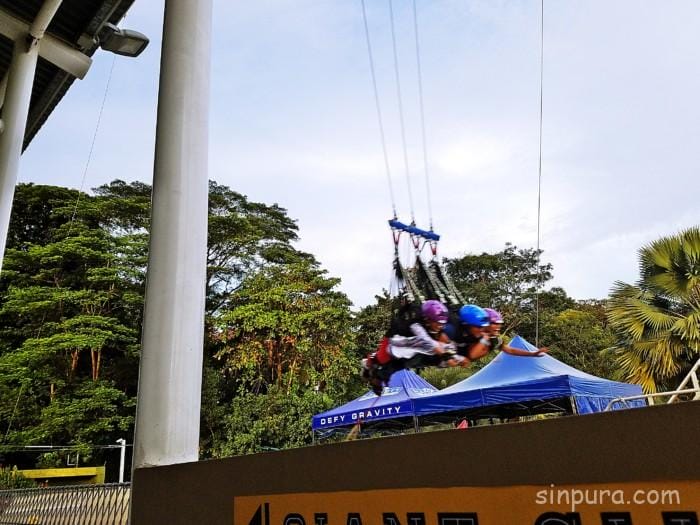 セントーサ島 バンジー 料金 AJハケット ジャイアントスイング アクティビティ