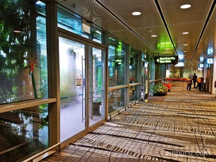 シンガポール　チャンギ空港　ターミナル３　バタフライガーデン