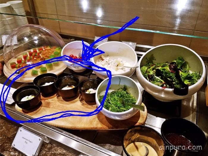 チャンギ空港 プラザプレミアムラウンジ 料金