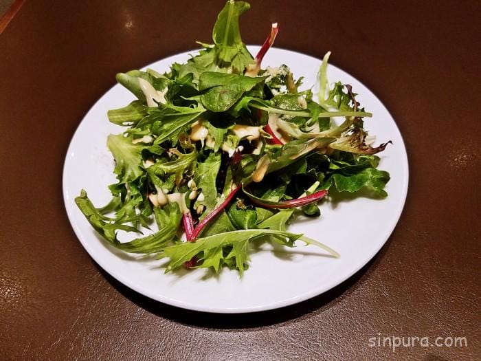 チャンギ空港 プラザプレミアムラウンジ 料金