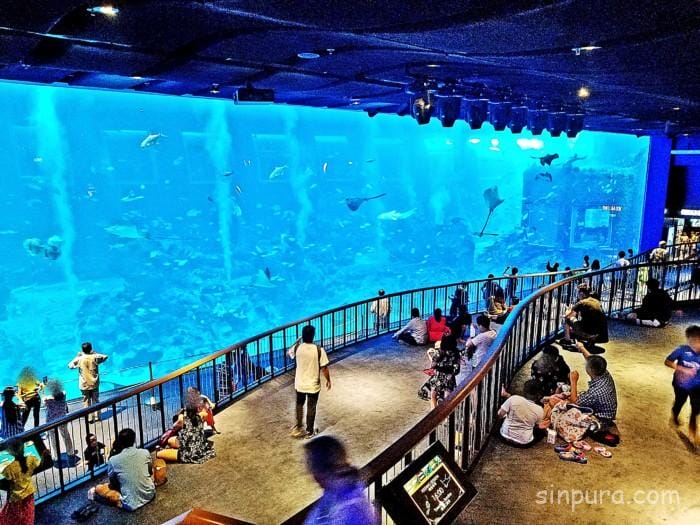 シーアクアリウム 所要時間 見どころ チケット 値段 割引