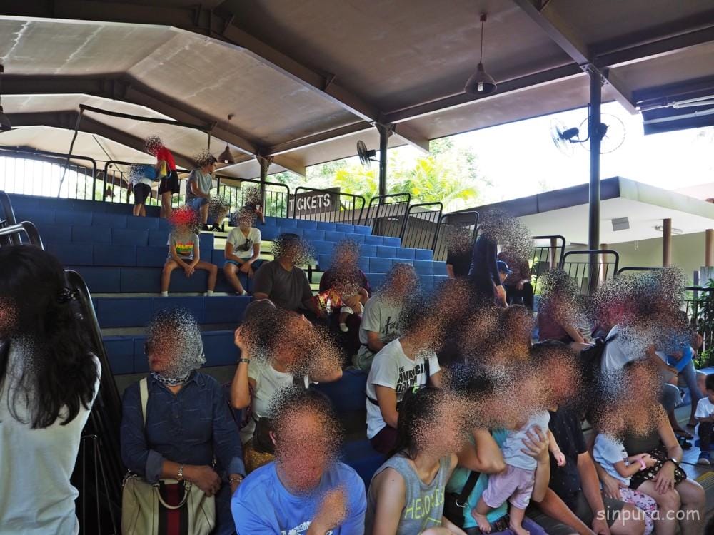 シンガポール リバーサファリ 行き方 料金 チケット 割引 雨 パンダ 子連れ