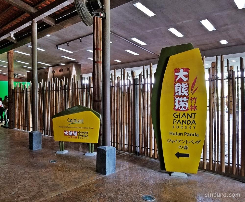 シンガポール リバーサファリ パンダ