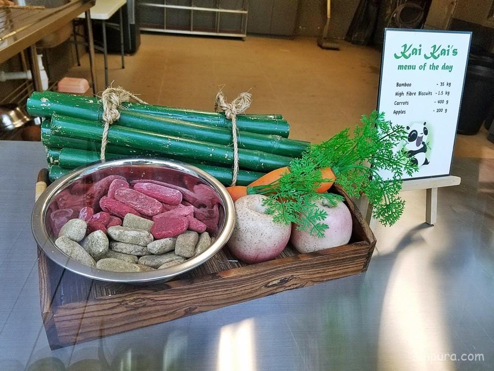 シンガポール リバーサファリ パンダ