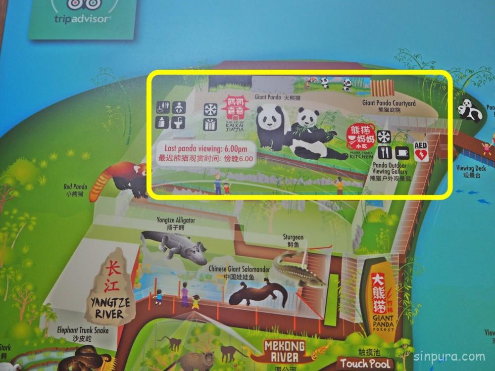 シンガポール リバーサファリ パンダ