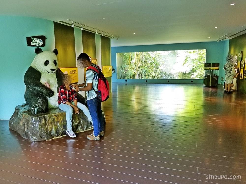 シンガポール リバーサファリ パンダ
