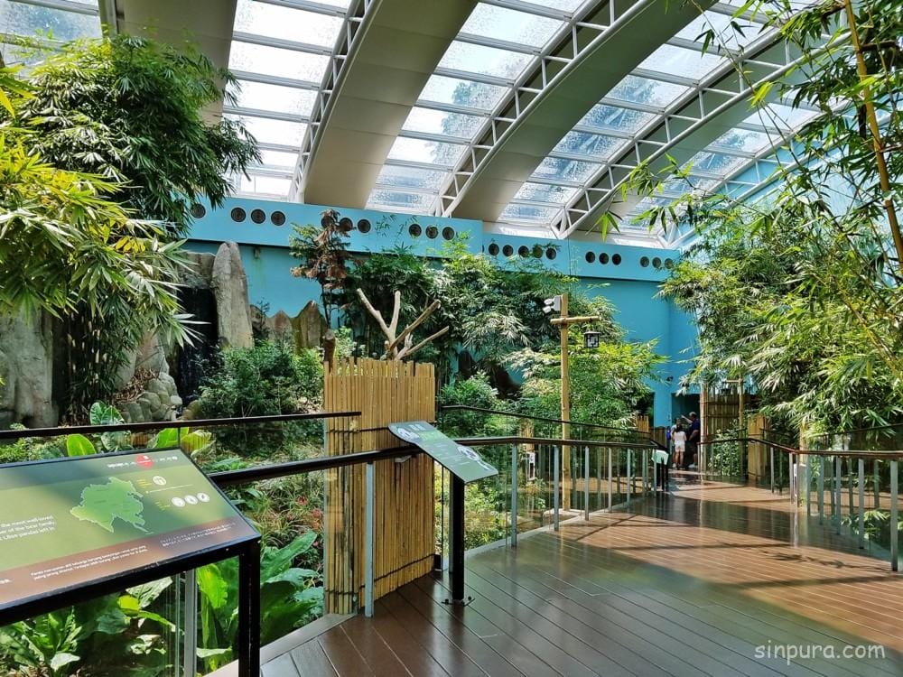 シンガポール リバーサファリ パンダ