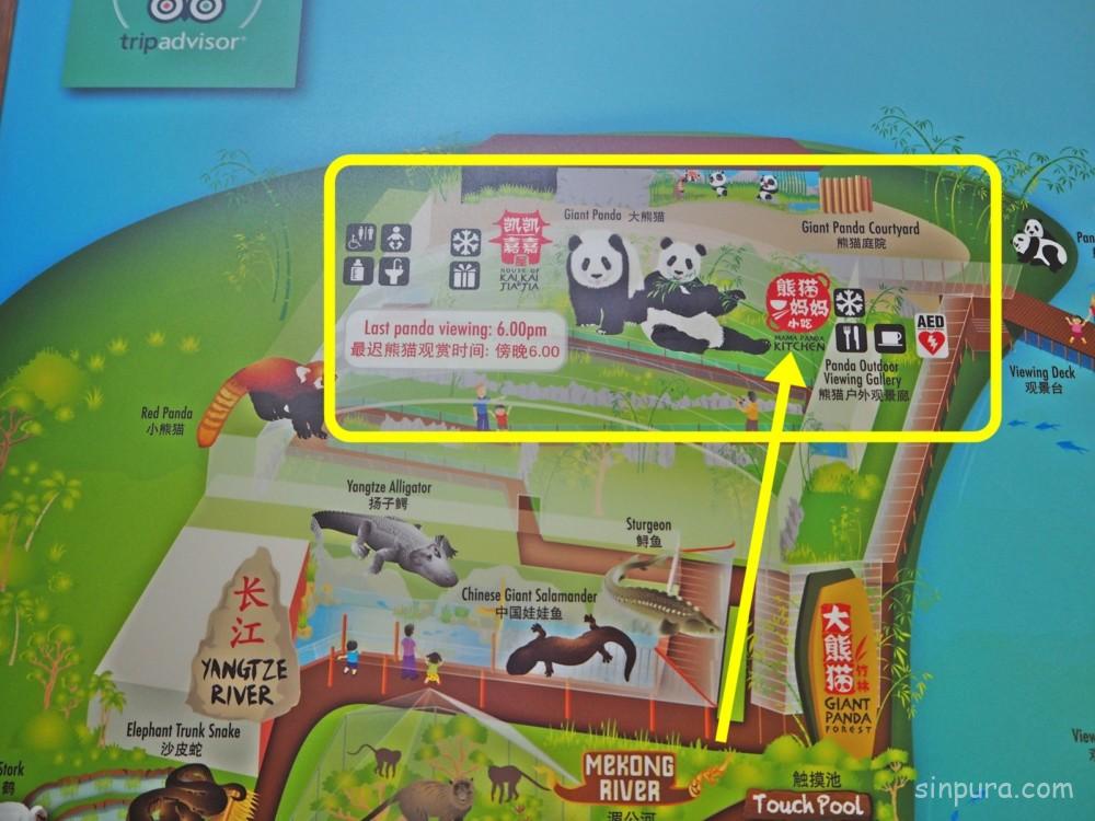 シンガポール リバーサファリ 行き方 料金 チケット 割引 雨 パンダ 子連れ