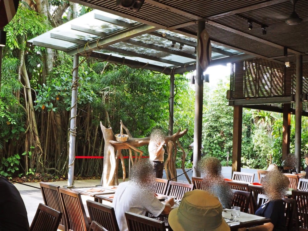 シンガポール動物園　オラウータン　朝食　予約　チケット　楽天 ブログ