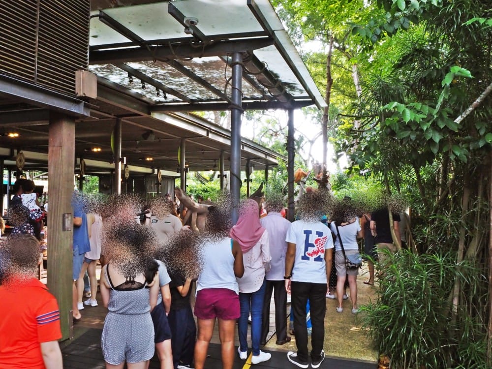 シンガポール動物園　オラウータン　朝食　予約　チケット　楽天 ブログ
