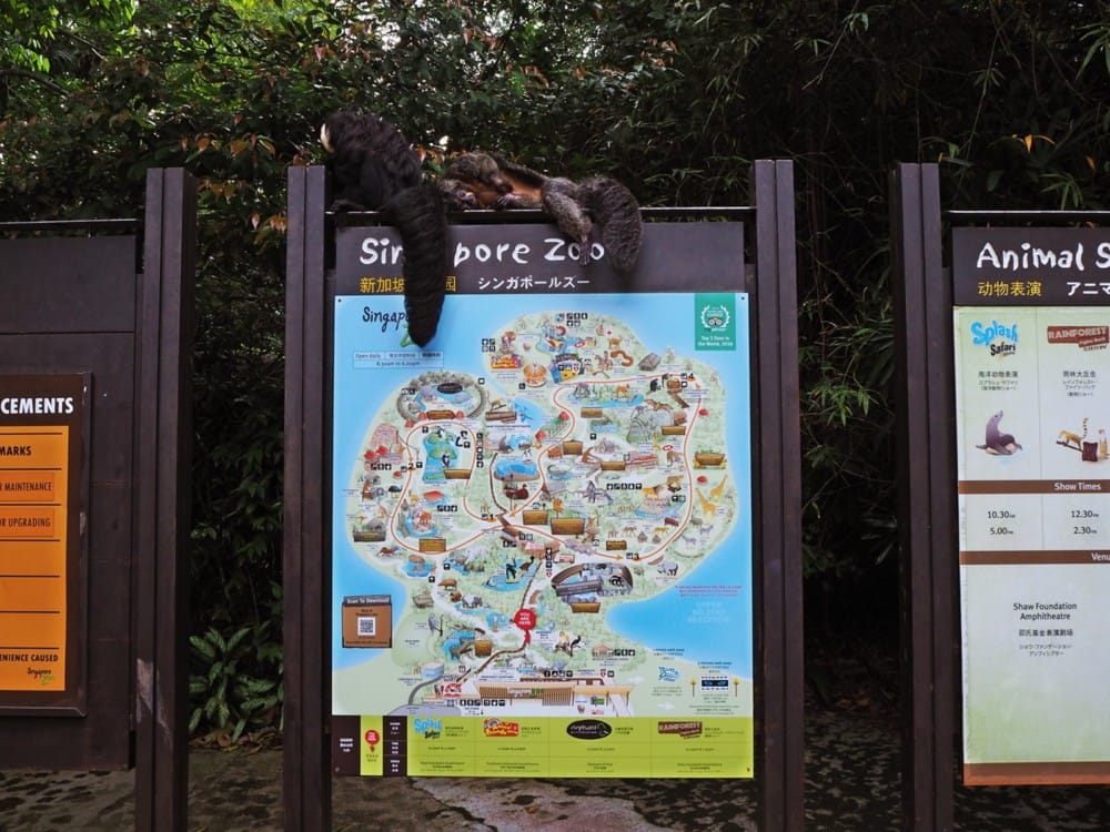 シンガポール動物園　オラウータン　朝食　予約　チケット　楽天 ブログ