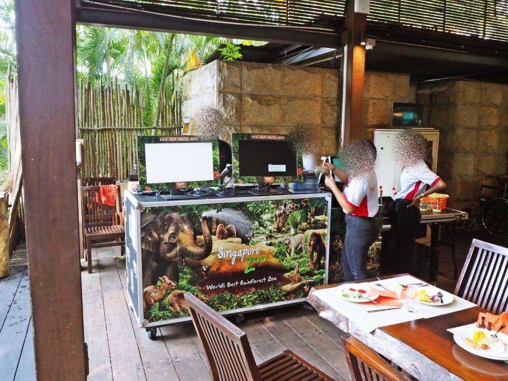 シンガポール動物園　オラウータン　朝食　予約　チケット　楽天 ブログ