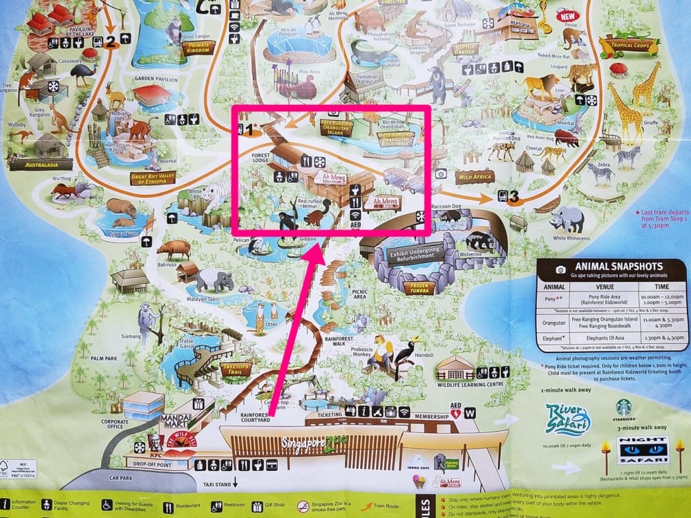 シンガポール動物園　オラウータン　朝食　予約　チケット　楽天 ブログ