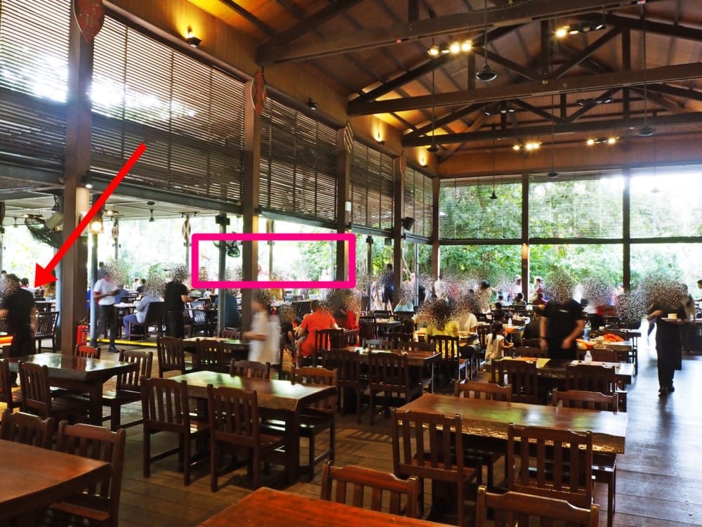 シンガポール動物園　オラウータン　朝食　予約　チケット　楽天 ブログ
