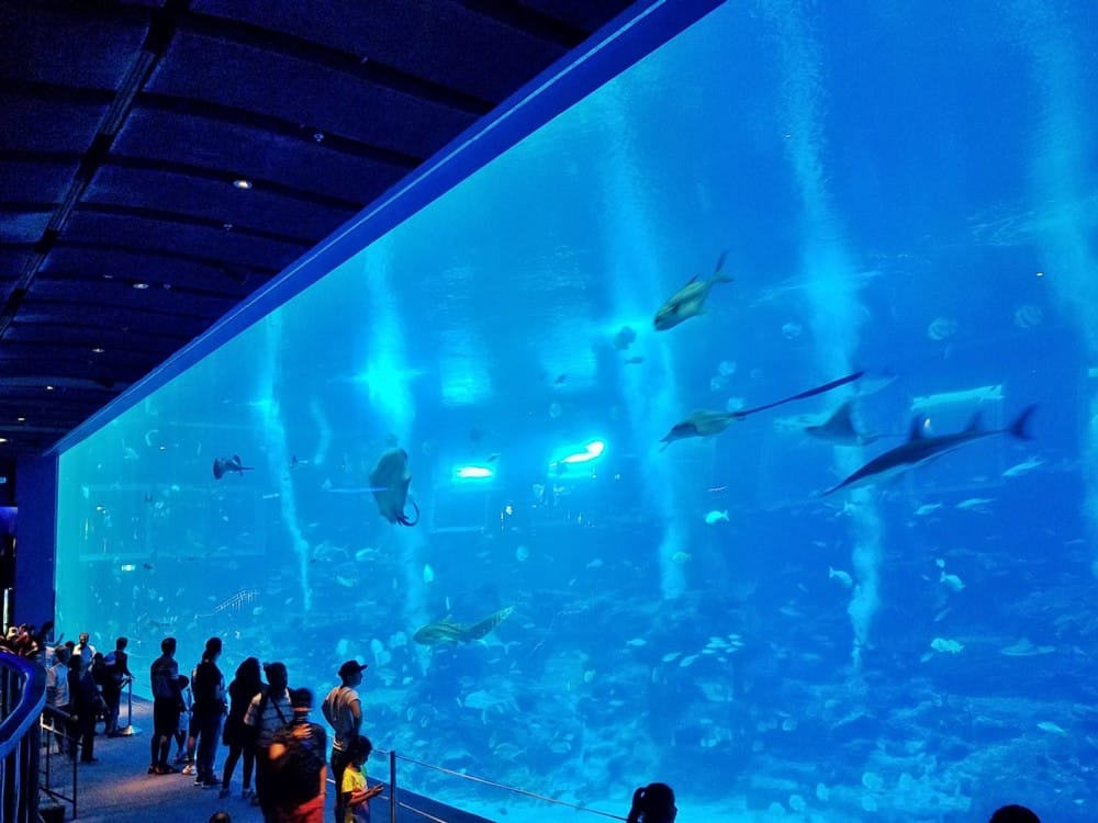 セントーサ島 観光 子連れ 観光スポット 一人旅 ビーチ