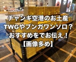 チャンギ空港 お土産 おすすめ TWG ブンガワンソロ