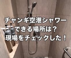 チャンギ空港 ターミナル1 シャワー 無料 誰でも