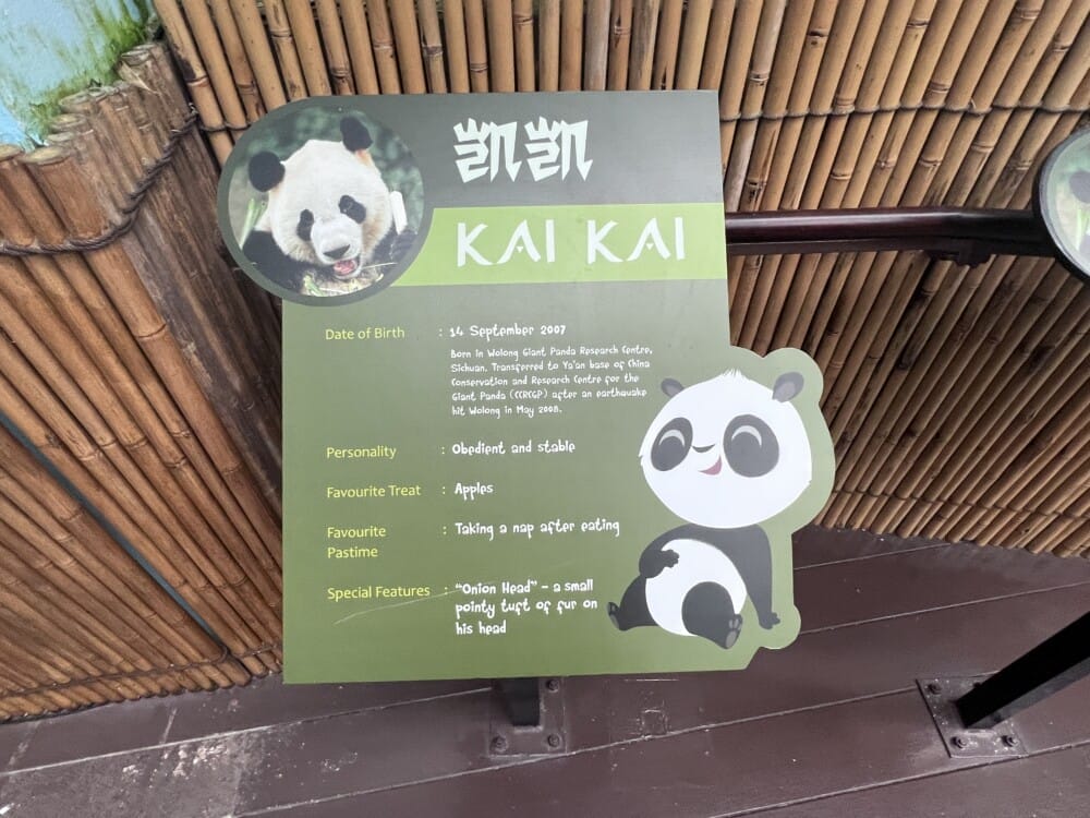 シンガポール リバーサファリ リバーワンダーズ パンダ