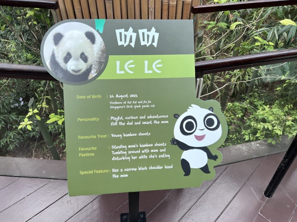 シンガポール リバーサファリ リバーワンダーズ パンダ