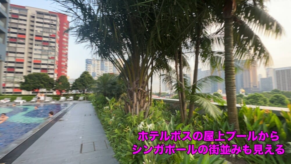 ホテルボス　プール　シンガポール