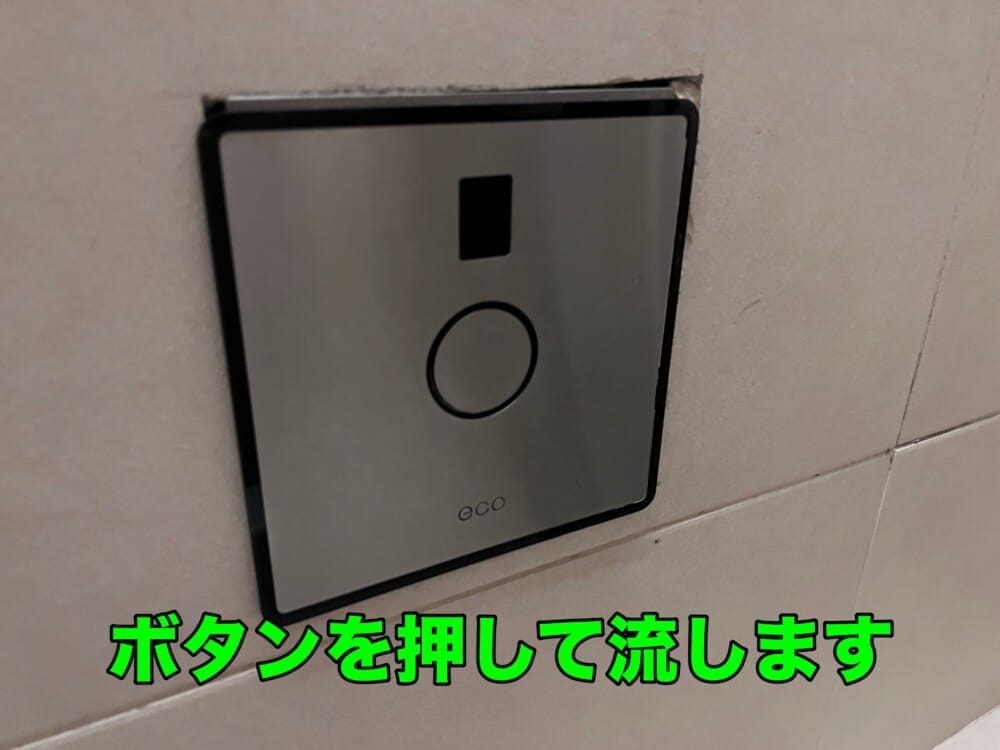 シンガポール　トイレ　汚い　流せる　流すボタン　ウォシュレット　トイレットペーパー